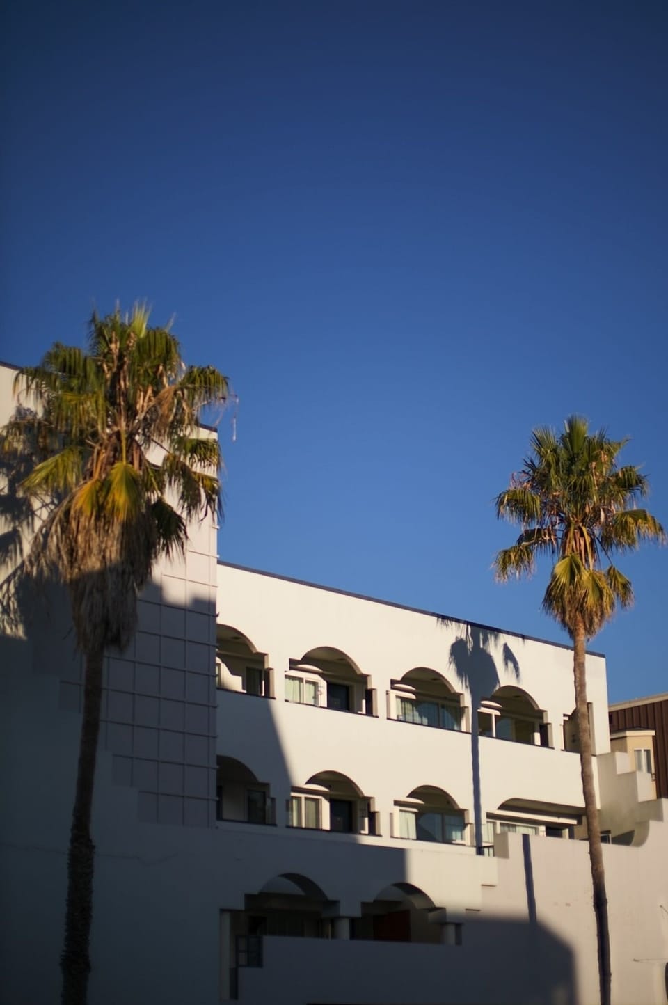 Arrive to sunlit architecture framed by swaying palms and blue skies.