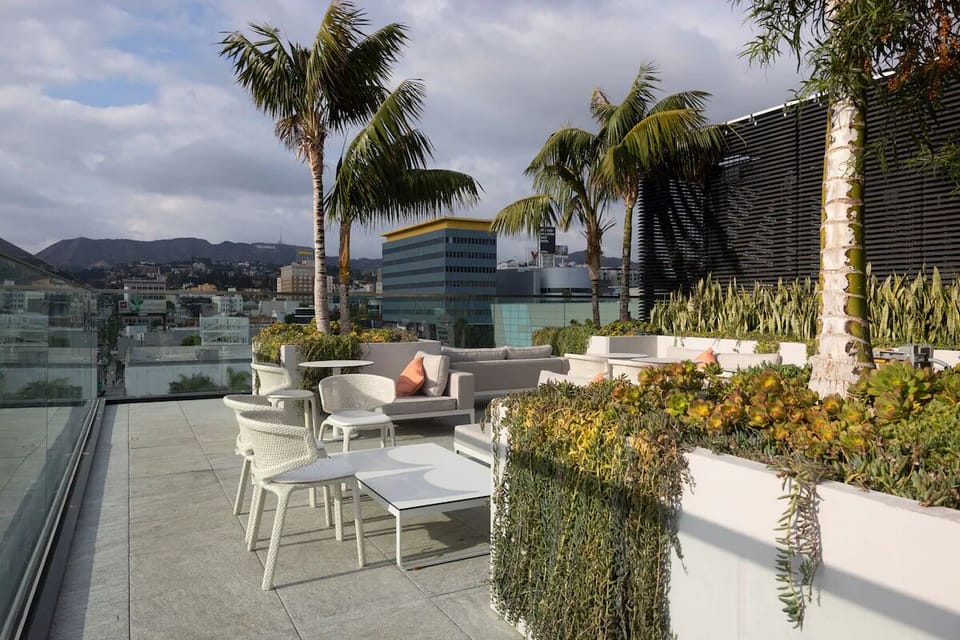 Unwind on the rooftop terrace with palms and skyline views.