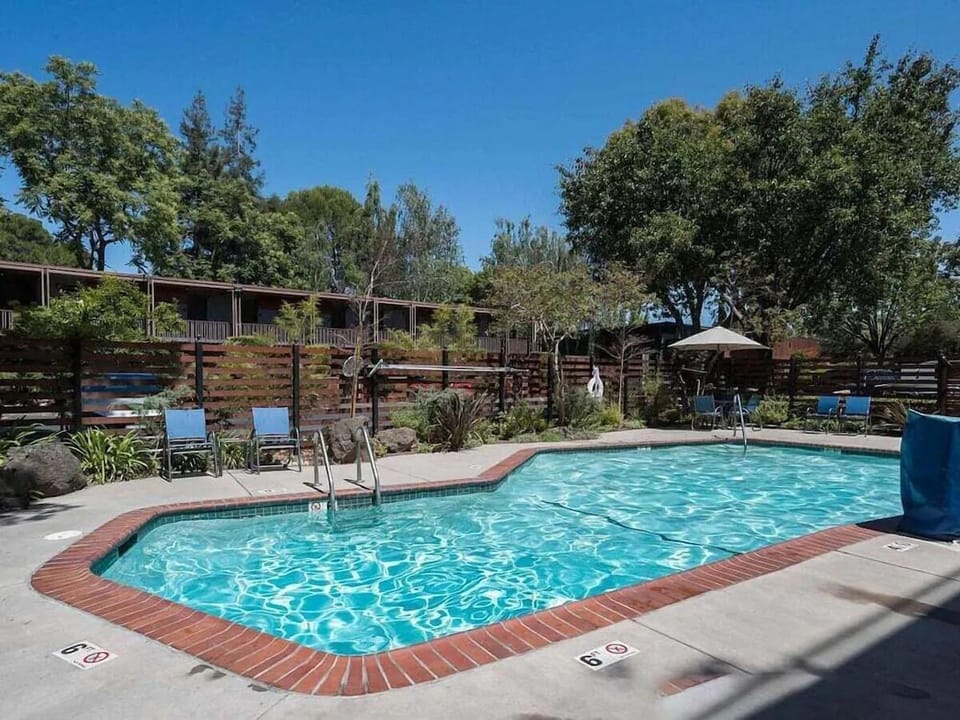 Dive into sunlit waters and lounge beside the sparkling pool.