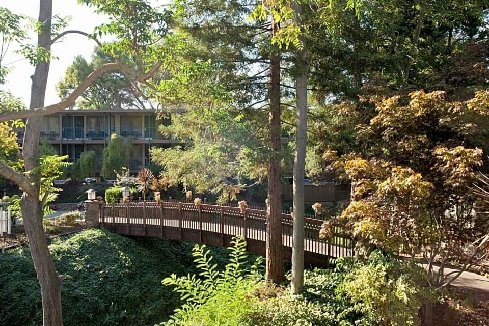 Wander across the peaceful bridge amid towering evergreens.