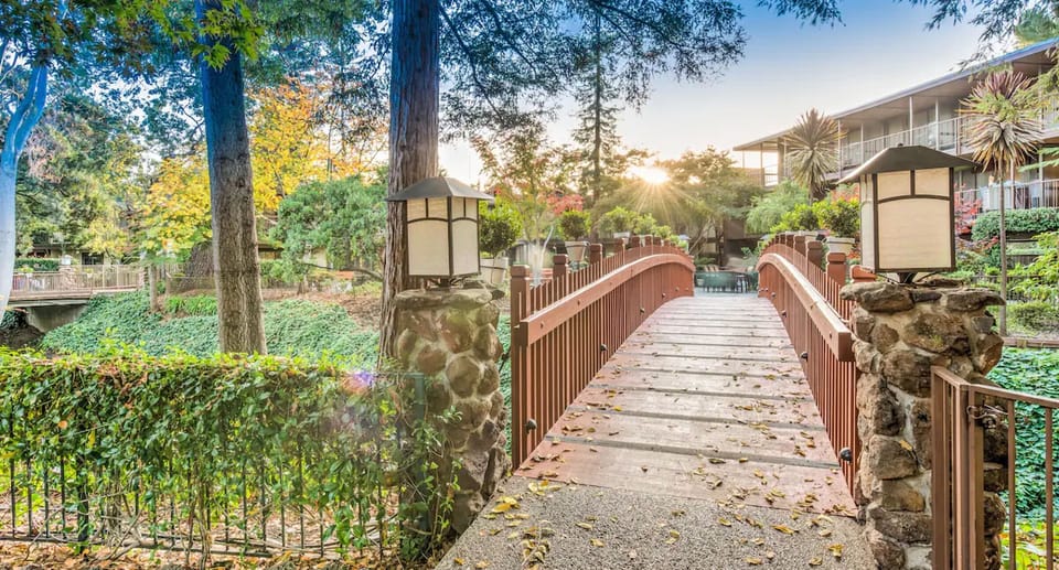 Wander over the charming bridge and soak in golden light.