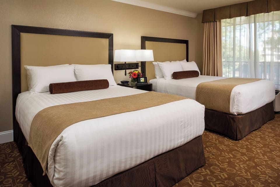 Unwind into crisp bedding and enjoy a bright, restful night.