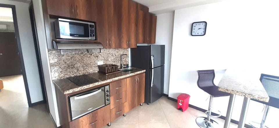 Standard Apartment, City View | Private kitchen | Microwave, stovetop, rice cooker, blender