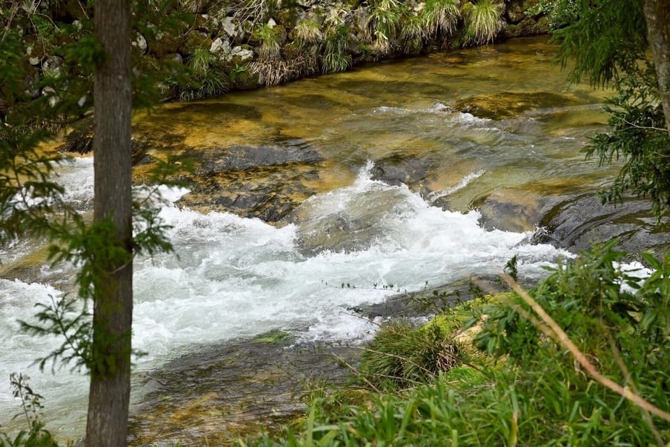 A clear river flows beneath the large windows.