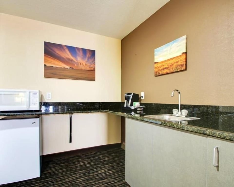 Fridge, microwave, coffee/tea maker