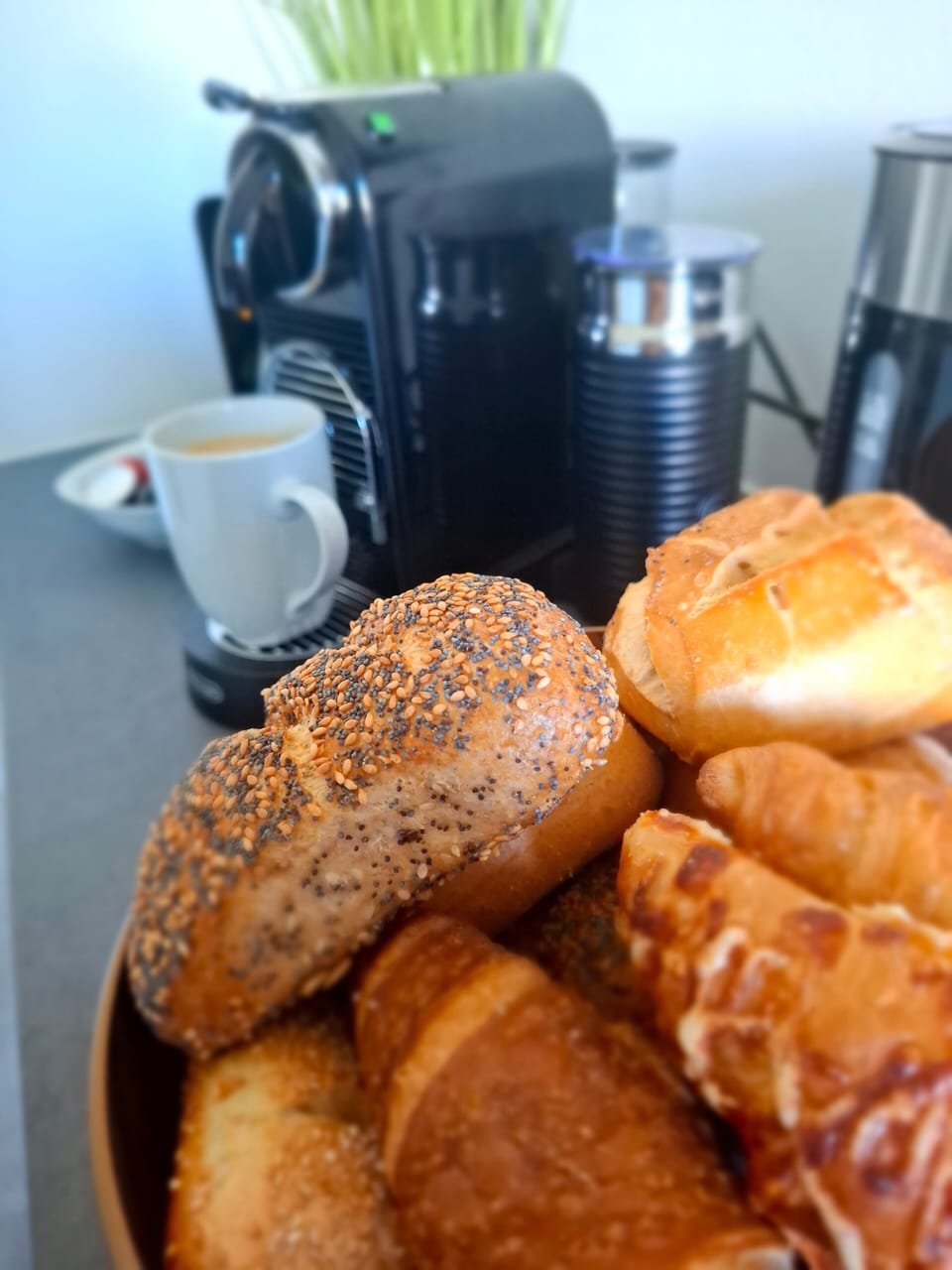 Breakfast meal