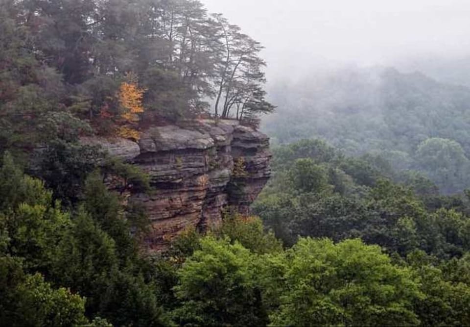 Step into the wonder of Rock House, just 25 minutes from My Little Heaven. This awe-inspiring cave features towering sandstone walls, natural windows, and winding passageways—perfect for exploring, adventuring, and experiencing Hocking Hills’ magic.