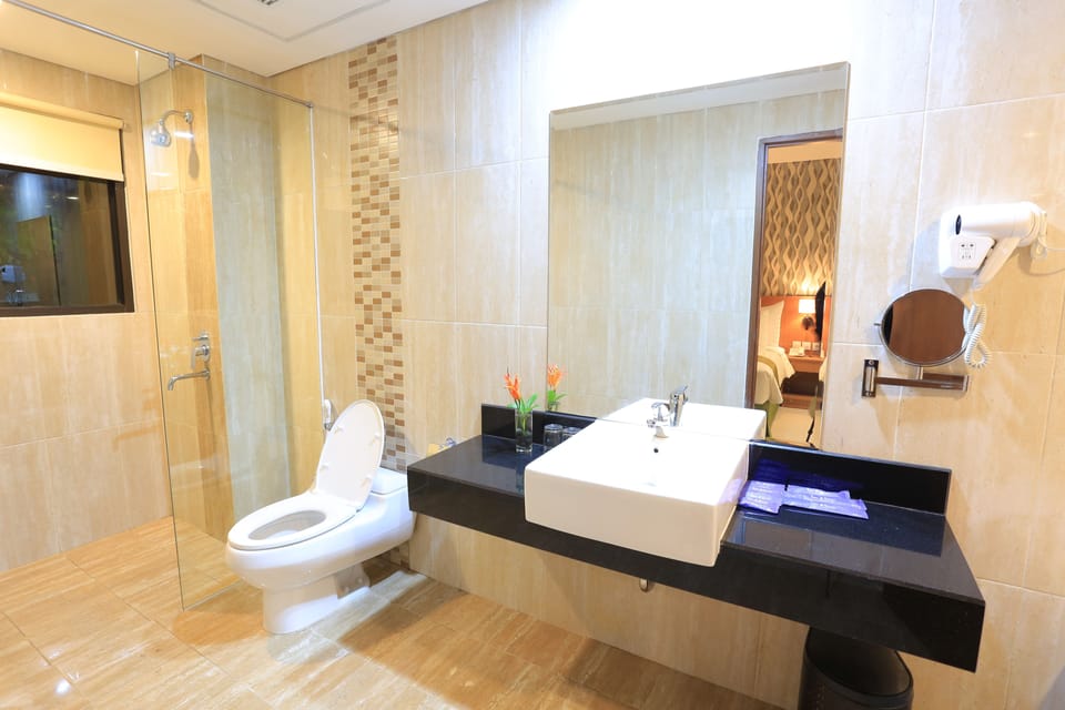 Shower, free toiletries, hair dryer, slippers