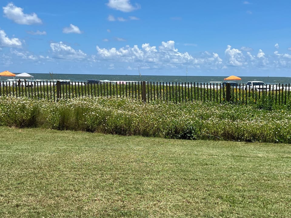 Fenced yard with beach view