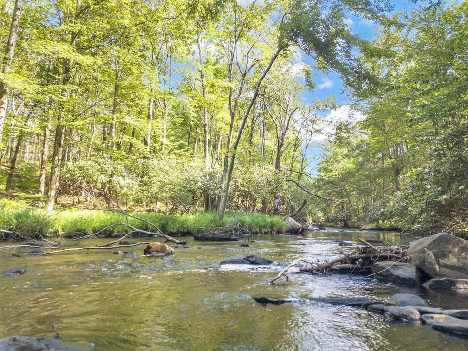 Who needs a spa day when you can unwind in this natural paradise?
