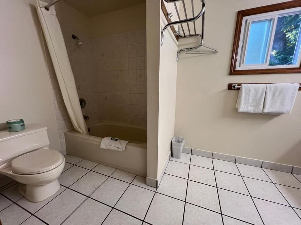 Bathroom | Separate tub and shower, towels, soap, shampoo