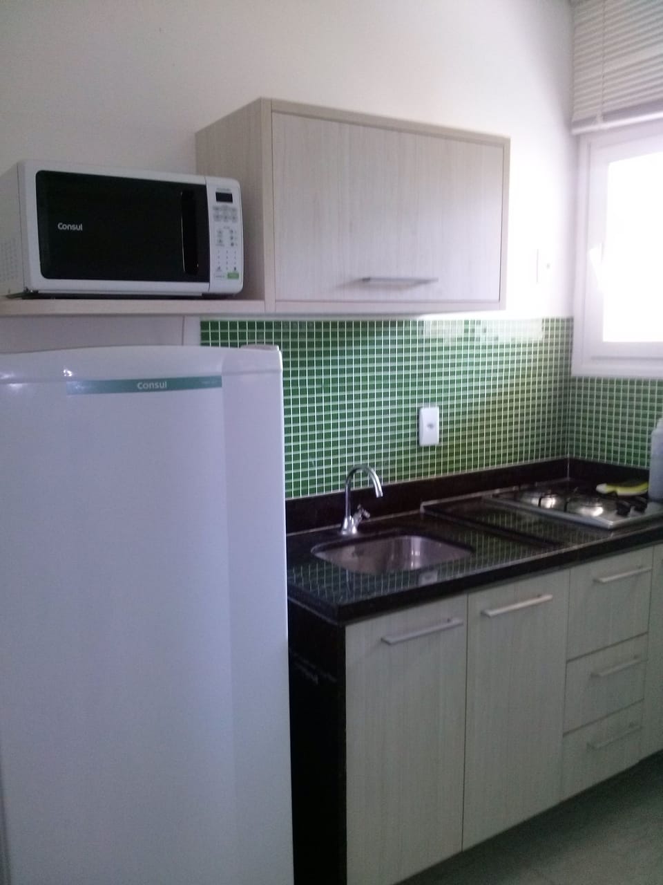 Full-size fridge, microwave, oven, stovetop