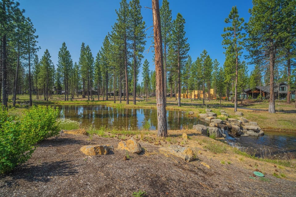 18105 Forestbrook-41