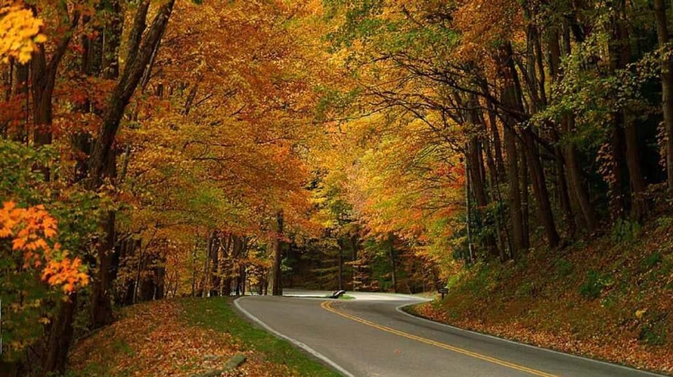 Smoky mountain national park