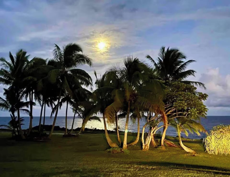 moonrise from the front lawn of the neighborhood