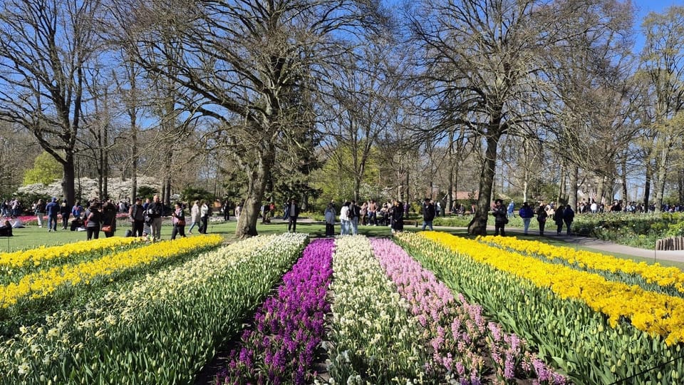 Keukenhof (Floral Symphony)