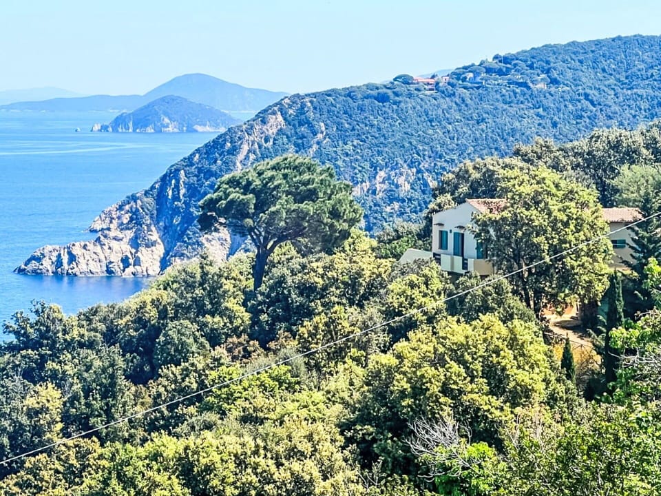 Blue, Natural Landscape, Vegetation, Coast, Coastal And Oceanic Landforms, Sea, Ocean, Promontory, Headland
