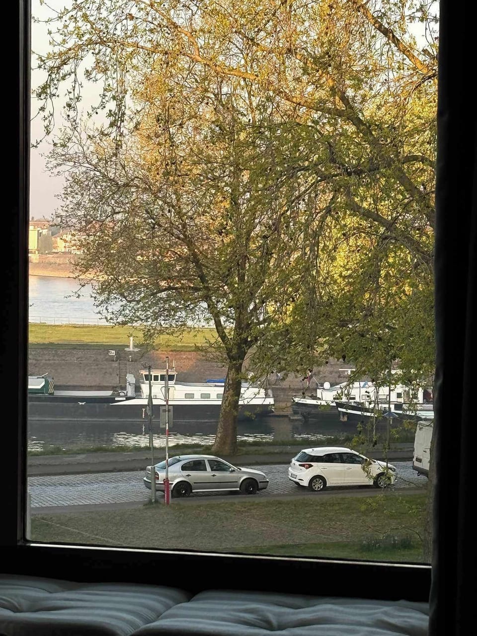 View