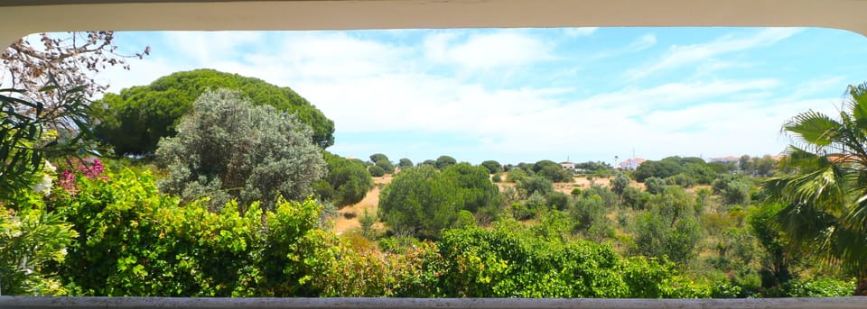 view from side terrace