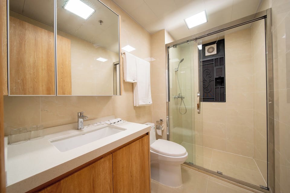 Luxury Apartment, City View | Bathroom | Shower, hair dryer, slippers, towels