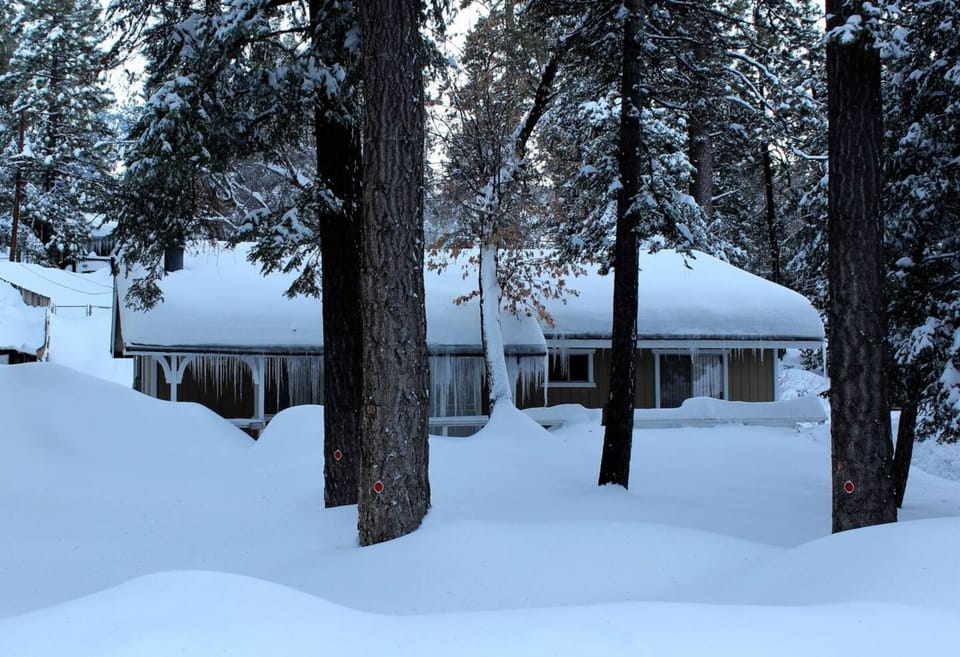 Signature Cabin, 3 Bedrooms, Fireplace | View from room