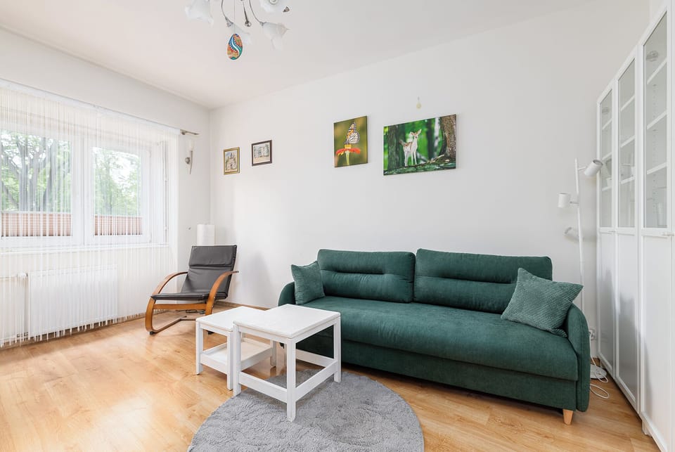 Apartment | Living room | 37-inch flat-screen TV with digital channels