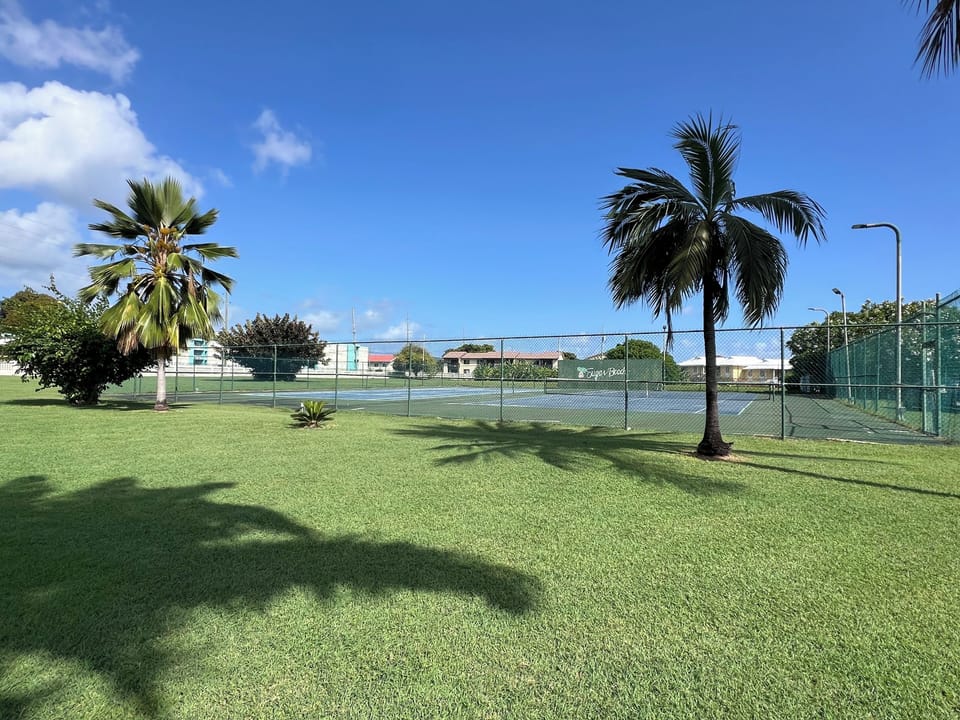 Sport court