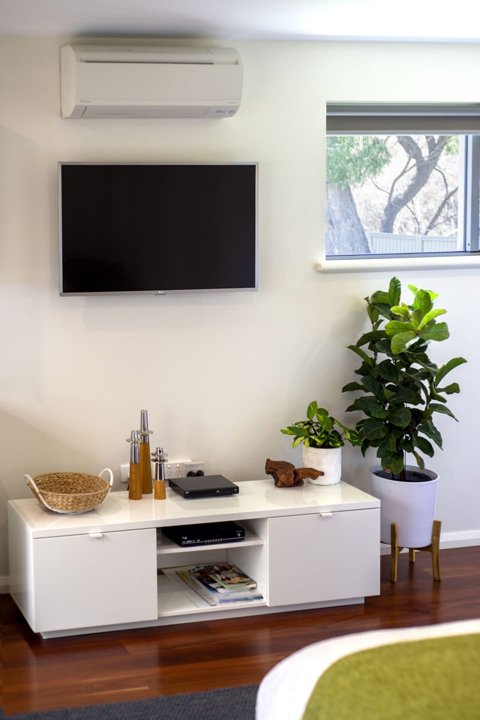 Television