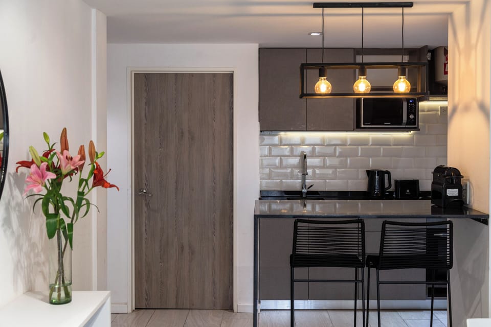 Apartment, 1 Bedroom, Balcony, City View | Private kitchen | Full-size fridge, microwave, oven, stovetop