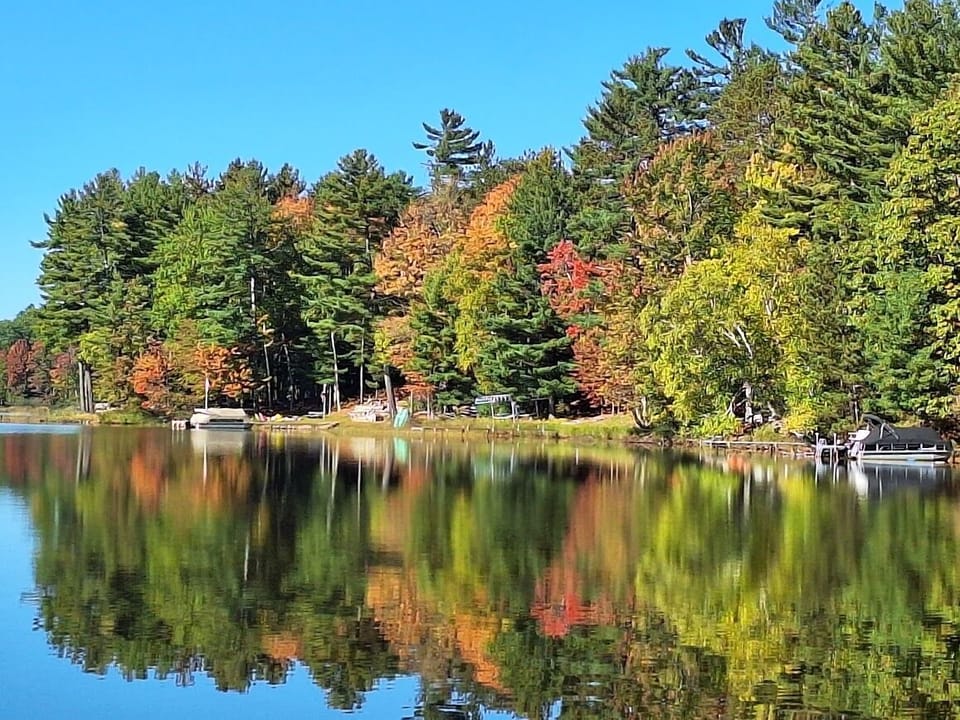 Fall trees reflecting on Lake Thompson.