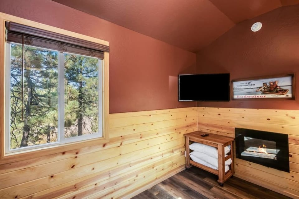 Studio Smart TV and Electric Fireplace