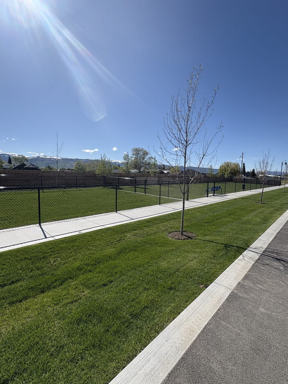 Dog park and other Amentities