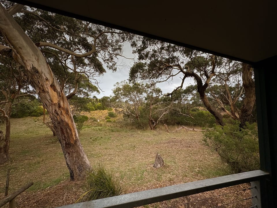 View from property