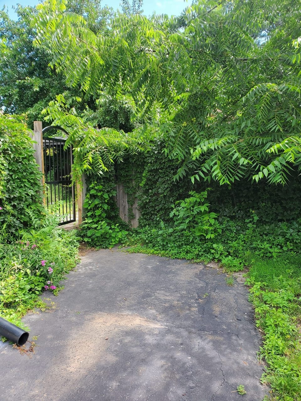 Property grounds