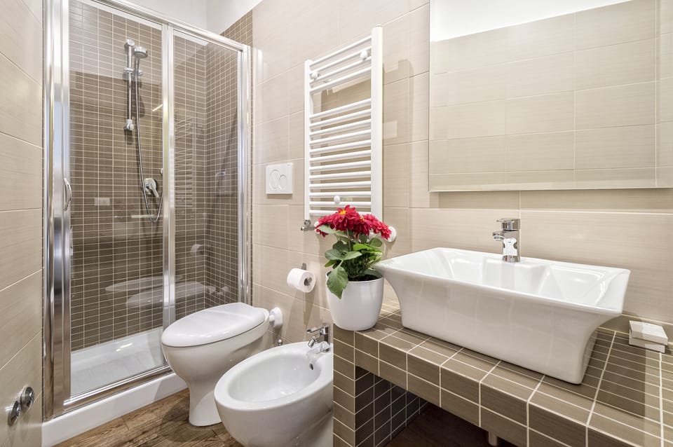 Shower, hair dryer, bidet, towels