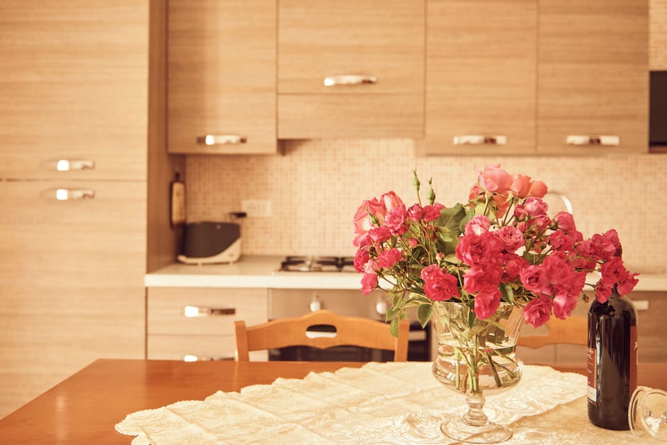 Full-size fridge, oven, stovetop, electric kettle