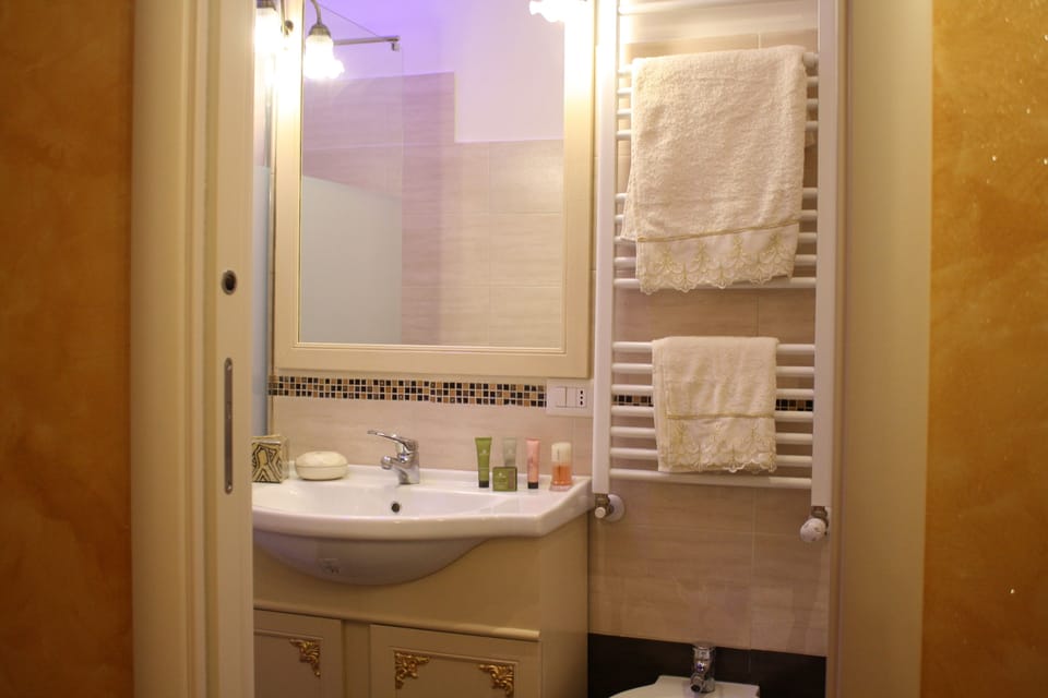 Junior Double Room (Rosso / Beige) | Bathroom | Shower, free toiletries, bathrobes, towels