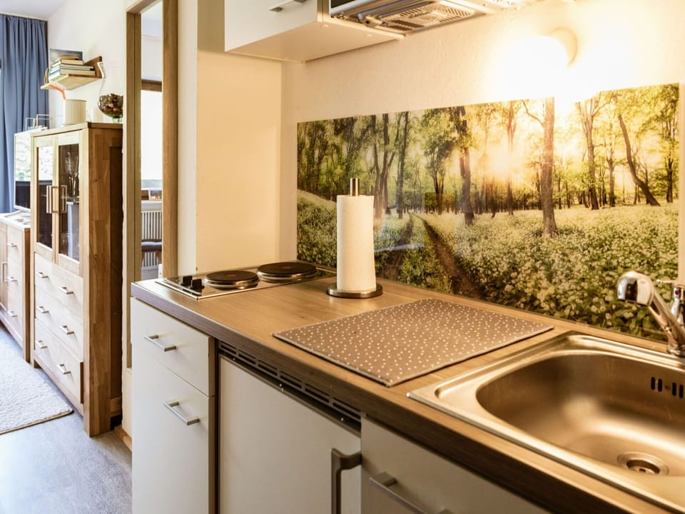Interior Design, Countertop, Plumbing Fixture, Sink, Furniture, Tap, Kitchen, Room, Plumbing, Cabinetry