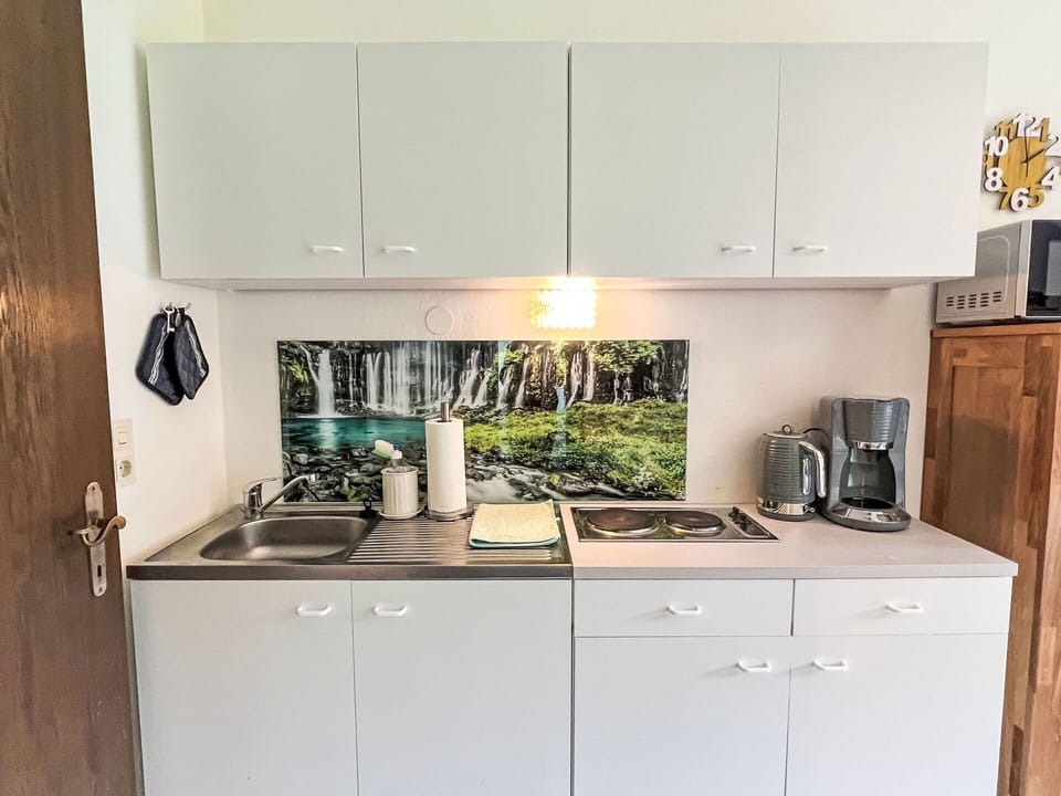 Kitchen, Kitchen Appliance, Apartment, Major Appliance, Cabinetry, Kitchen Sink, Countertop, Sink, Wood Stain, Houseplant