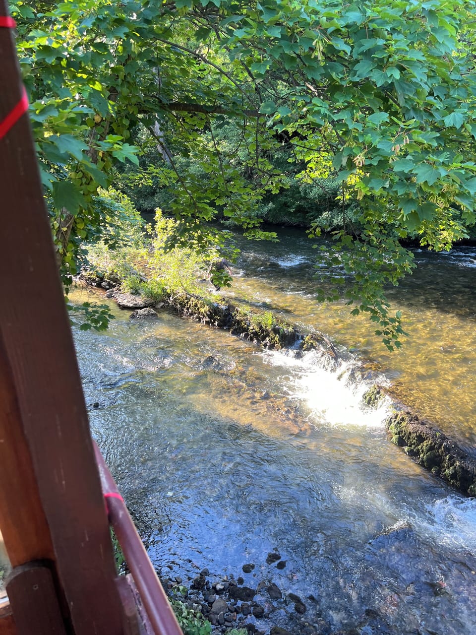 View from property