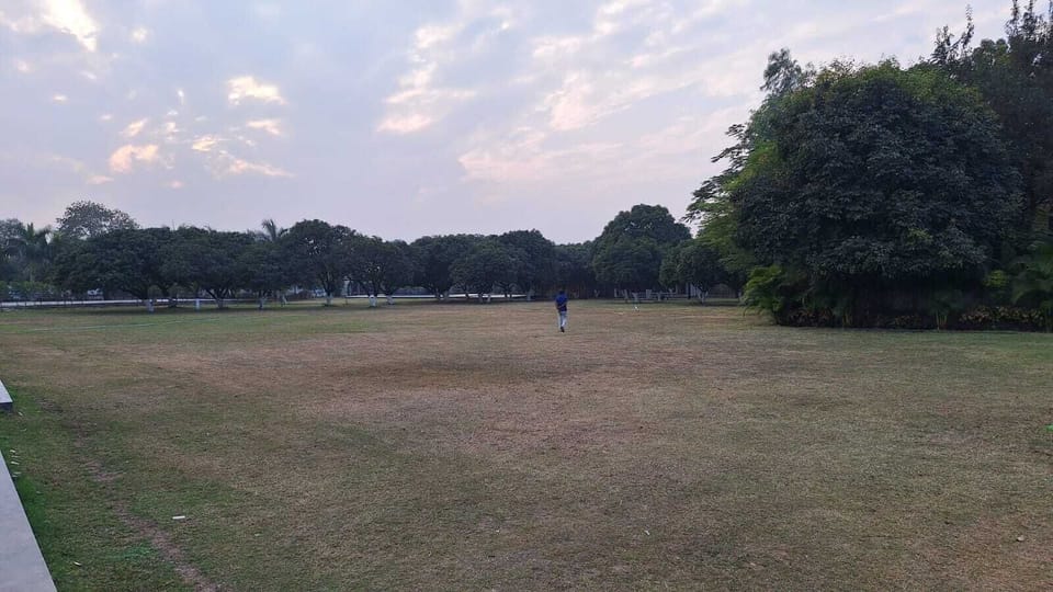 Garden view