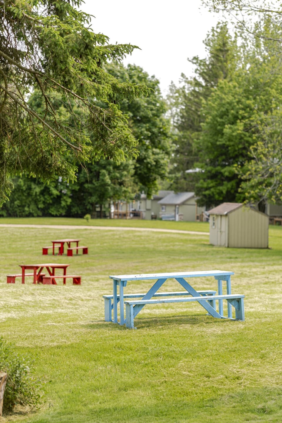 All common areas, shores, waterfront, docks and park settings are to be used by all guests of West Lake Cottages