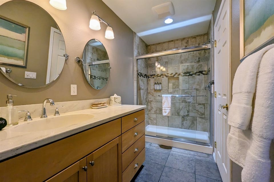 Primary Suite bathroom with walk in shower
