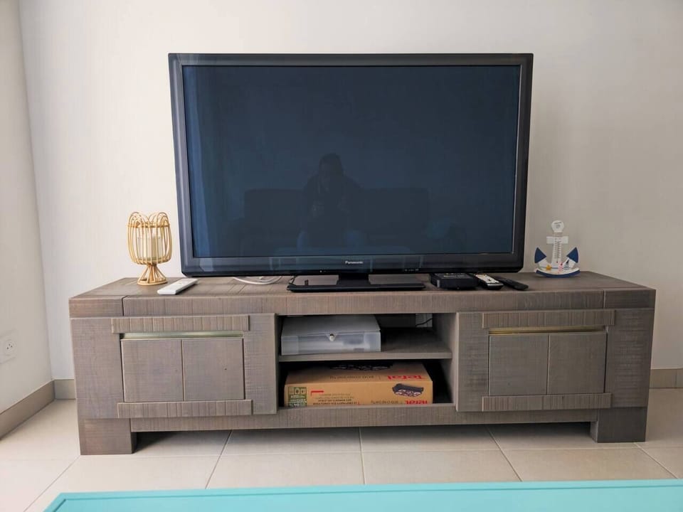 Television