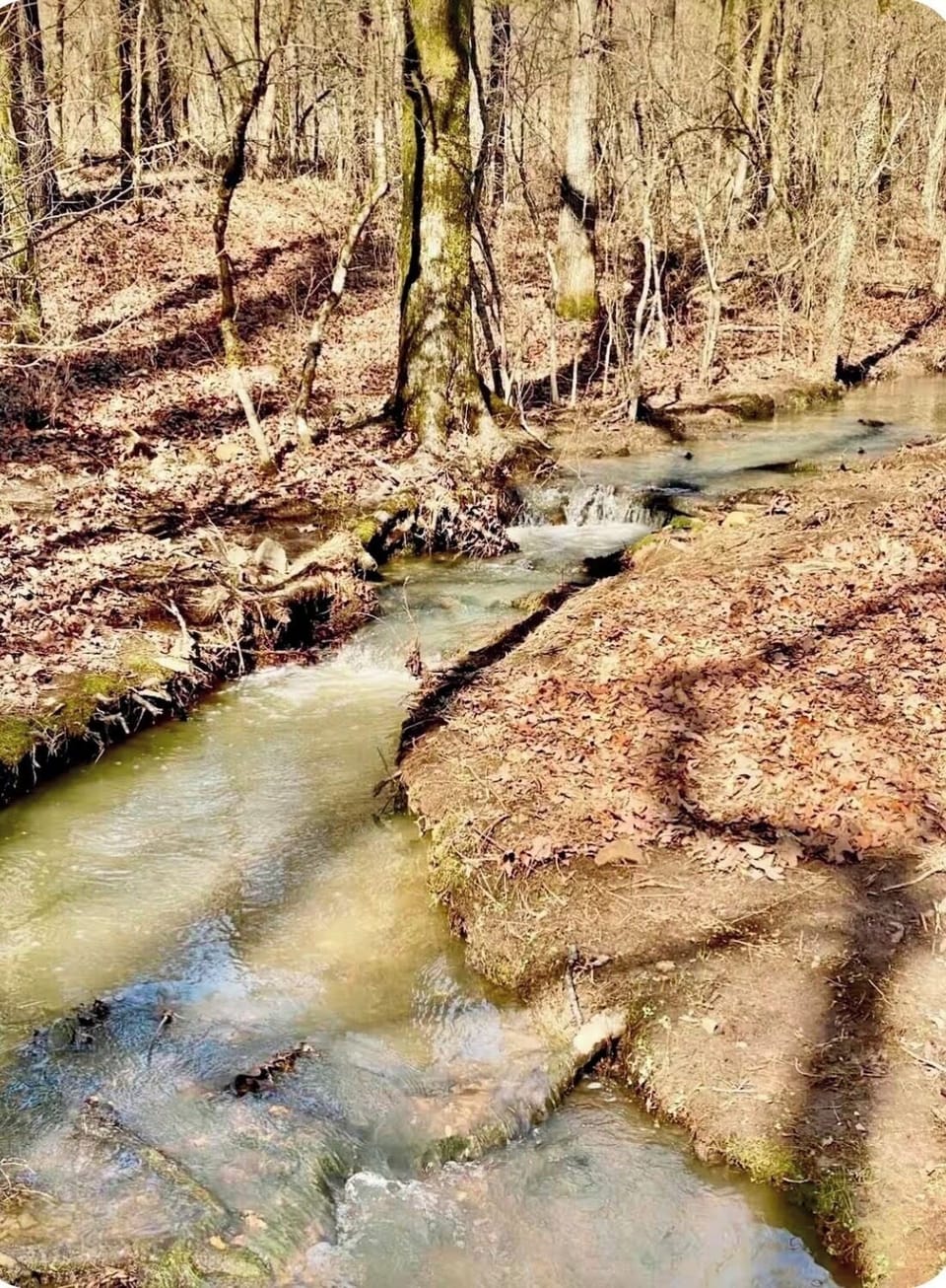 Enjoy listening to nature and the seasonal creek from the relaxing bed swing. 