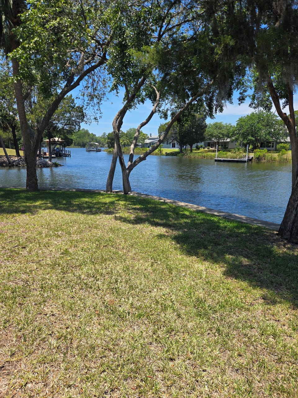 View of the yard and down the river.