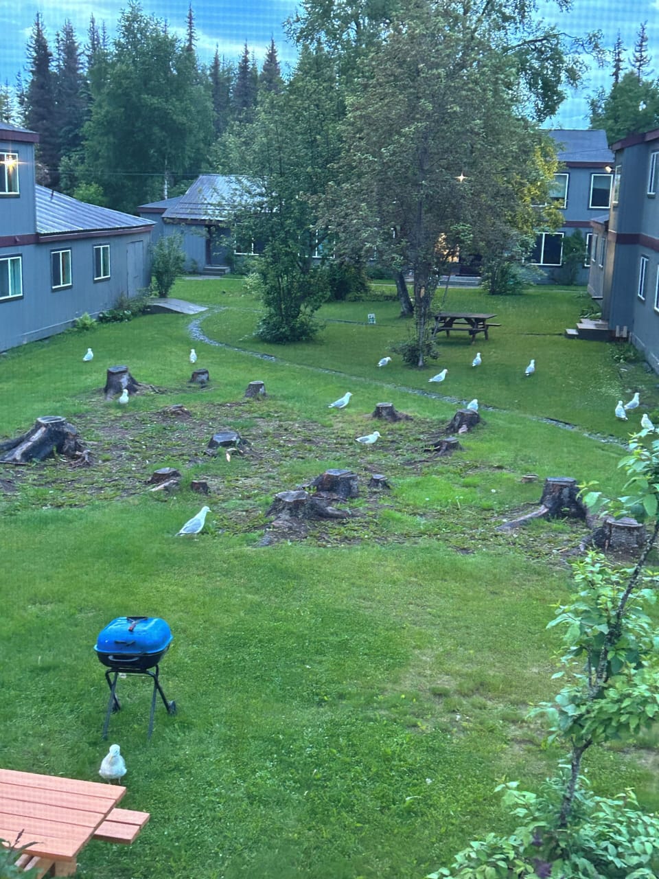 Property grounds