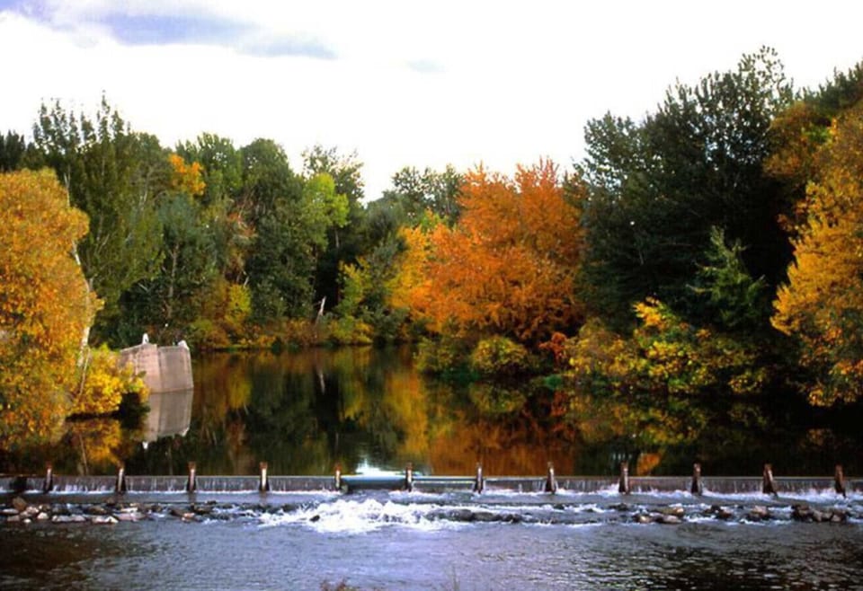 Charming Quinn`s Pond