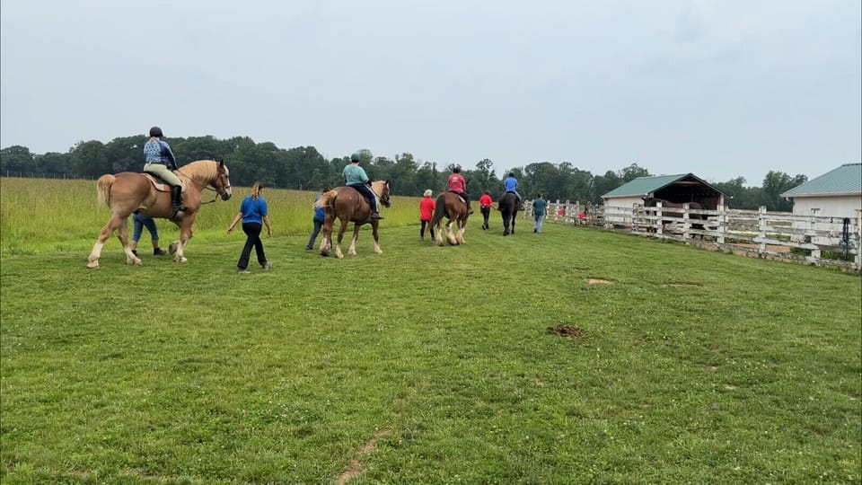 Horse Back Riding