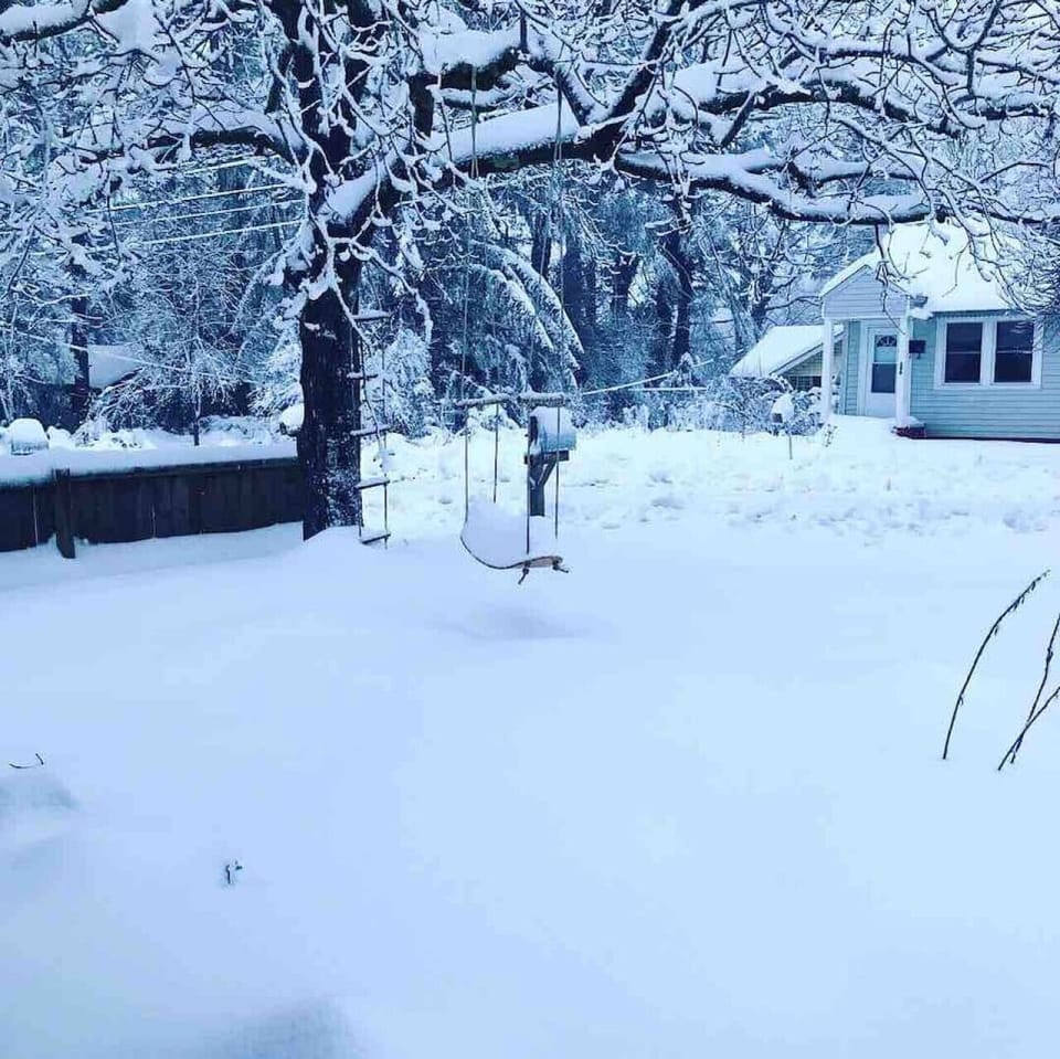 Winter Wonderland